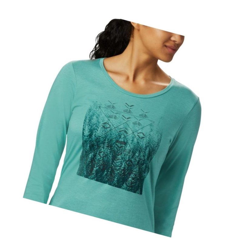 Columbia Alta Peak Long Sleeve Sweatshirt Kadın Bakır | 38029-EXLR