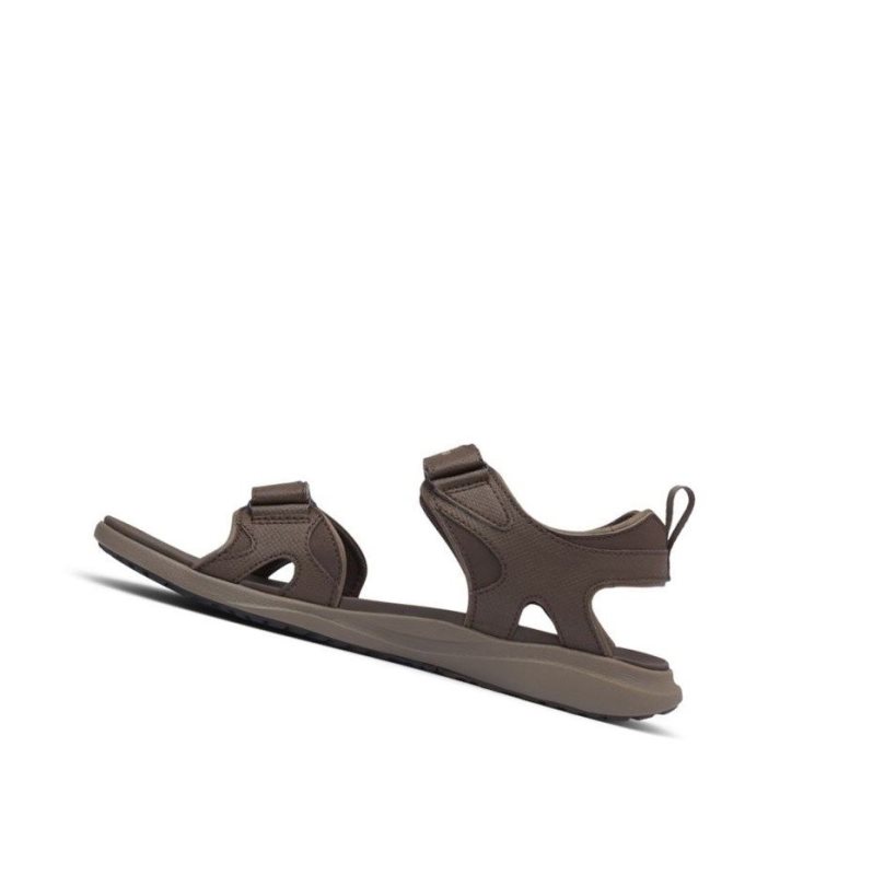 Columbia Ankle Strap Sandalet Erkek Koyu Kahverengi | 94185-APYH