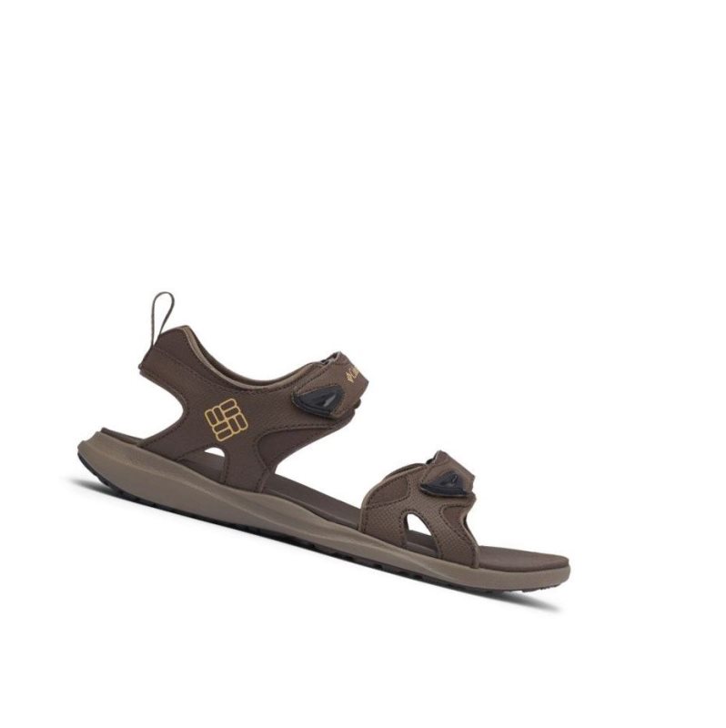 Columbia Ankle Strap Sandalet Erkek Koyu Kahverengi | 94185-APYH