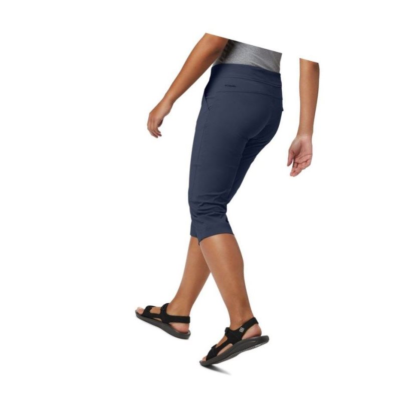 Columbia Anytime Outdoor Capri Pantolon Kadın Lacivert | 62041-UHTS