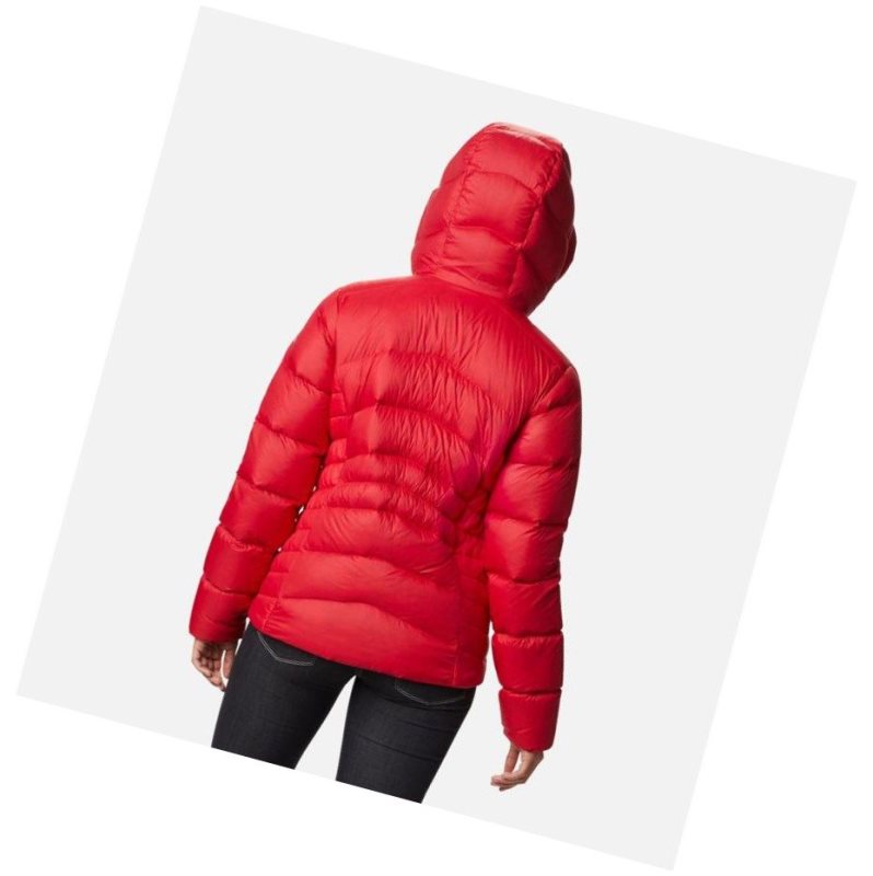 Columbia Autumn Park Down Hooded Mont Kadın Kırmızı | 80574-MLXQ