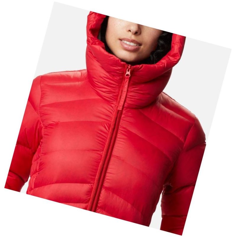 Columbia Autumn Park Down Hooded Mont Kadın Kırmızı | 80574-MLXQ