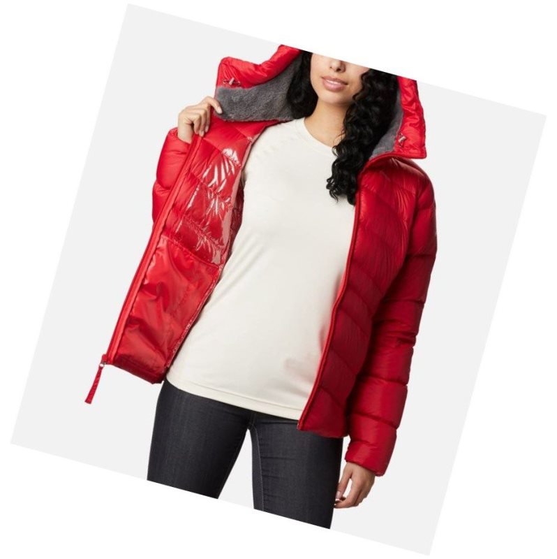 Columbia Autumn Park Down Hooded Mont Kadın Kırmızı | 80574-MLXQ