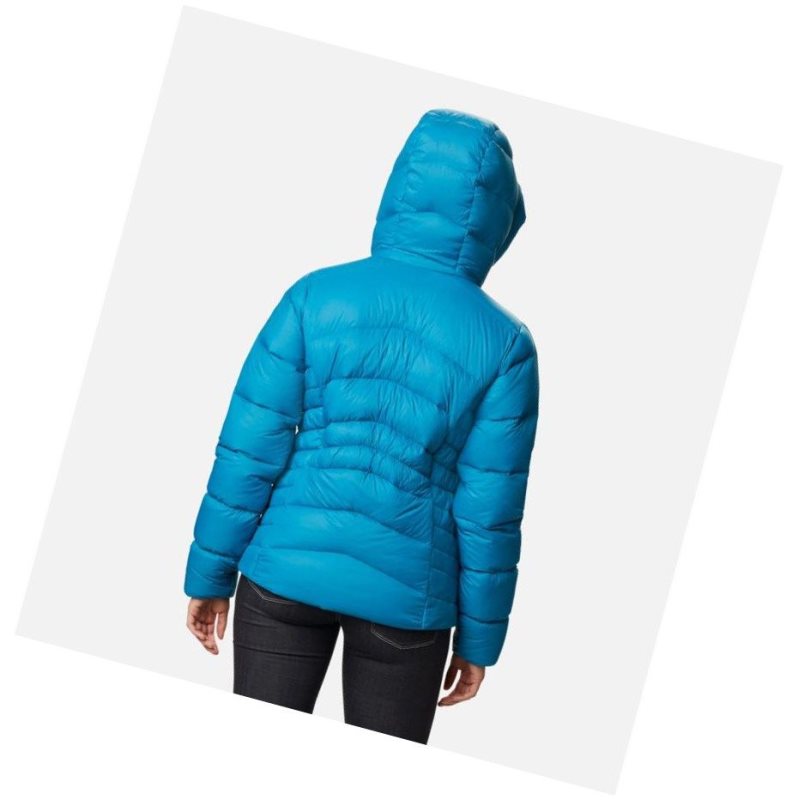 Columbia Autumn Park Down Hooded Mont Kadın Mavi | 93268-YRWI