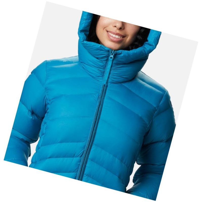 Columbia Autumn Park Down Hooded Mont Kadın Mavi | 93268-YRWI