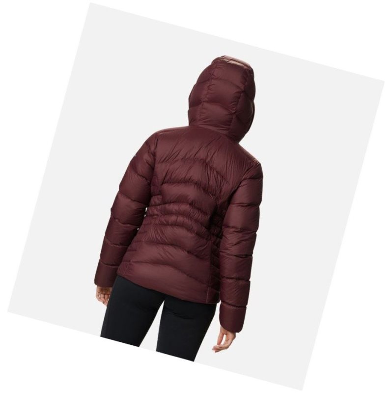Columbia Autumn Park Down Hooded Mont Kadın Bordo | 14928-YDZF
