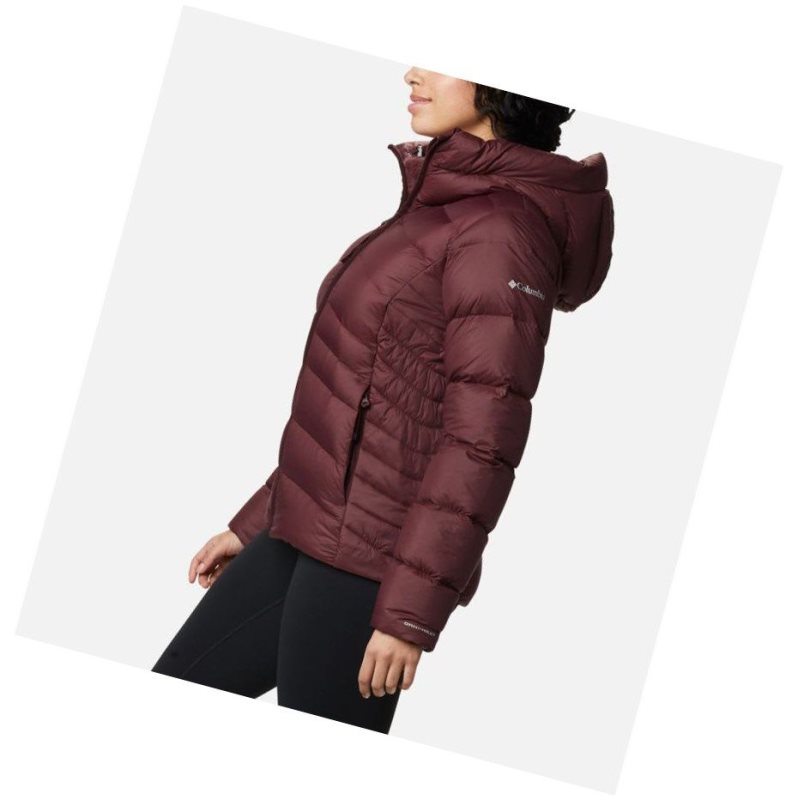 Columbia Autumn Park Down Hooded Mont Kadın Bordo | 14928-YDZF