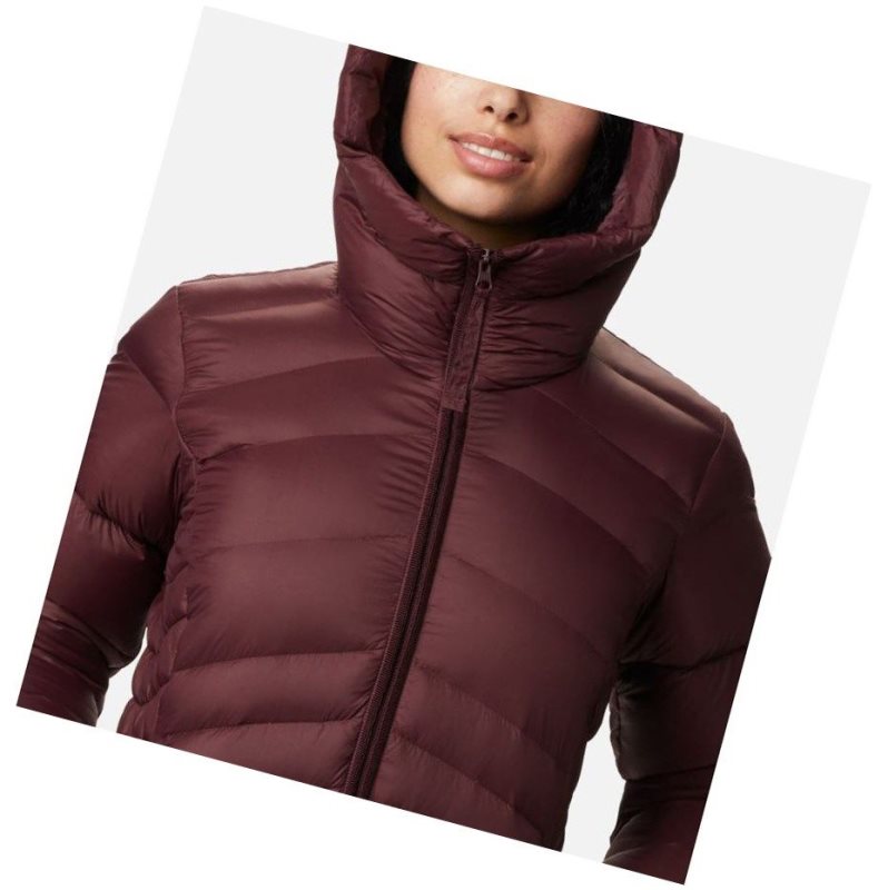 Columbia Autumn Park Down Hooded Mont Kadın Bordo | 14928-YDZF