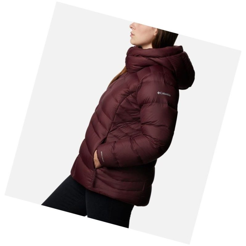 Columbia Autumn Park Down Hooded Plus Size Mont Kadın Bordo | 57438-UQYJ