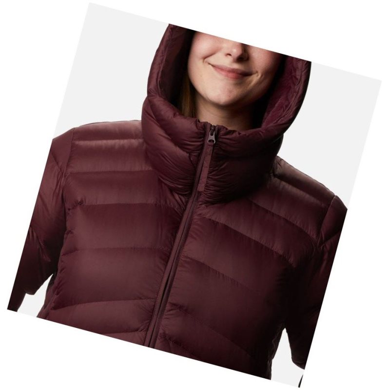 Columbia Autumn Park Down Hooded Plus Size Mont Kadın Bordo | 57438-UQYJ