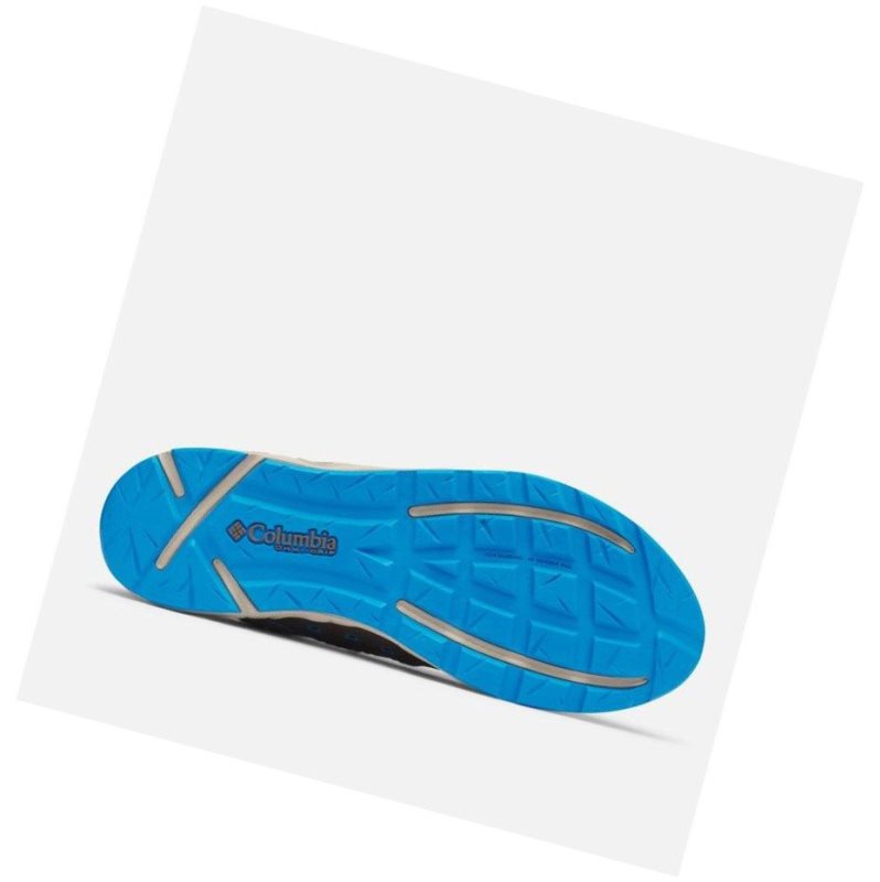 Columbia Bahama Vent Relaxed PFG Tekne Ayakkabısı Erkek Gri | 07492-FJVO