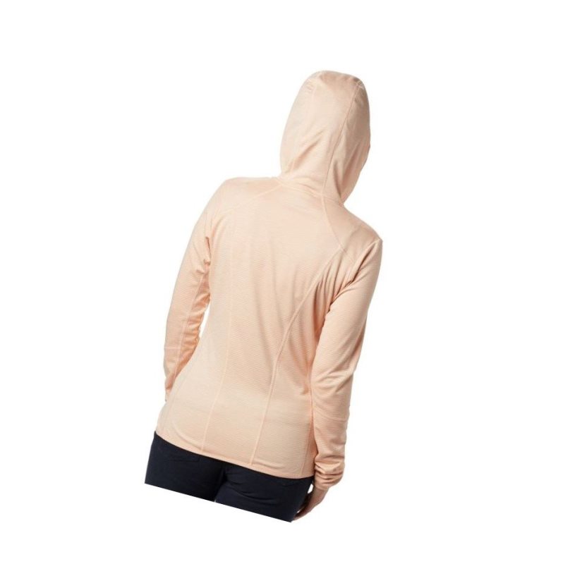 Columbia Baker Valley Hooded Fleece Mont Kadın Pembe | 97245-MJXE