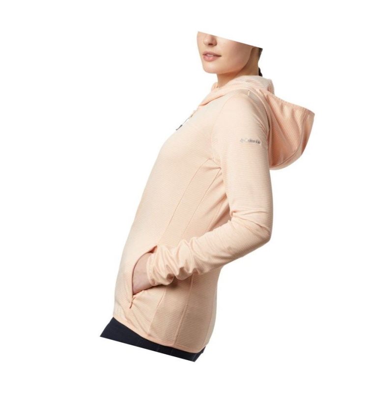 Columbia Baker Valley Hooded Fleece Mont Kadın Pembe | 97245-MJXE