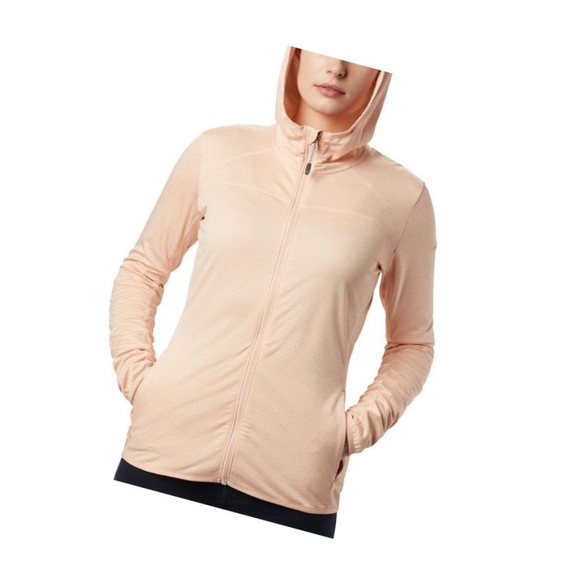 Columbia Baker Valley Hooded Fleece Mont Kadın Pembe | 97245-MJXE
