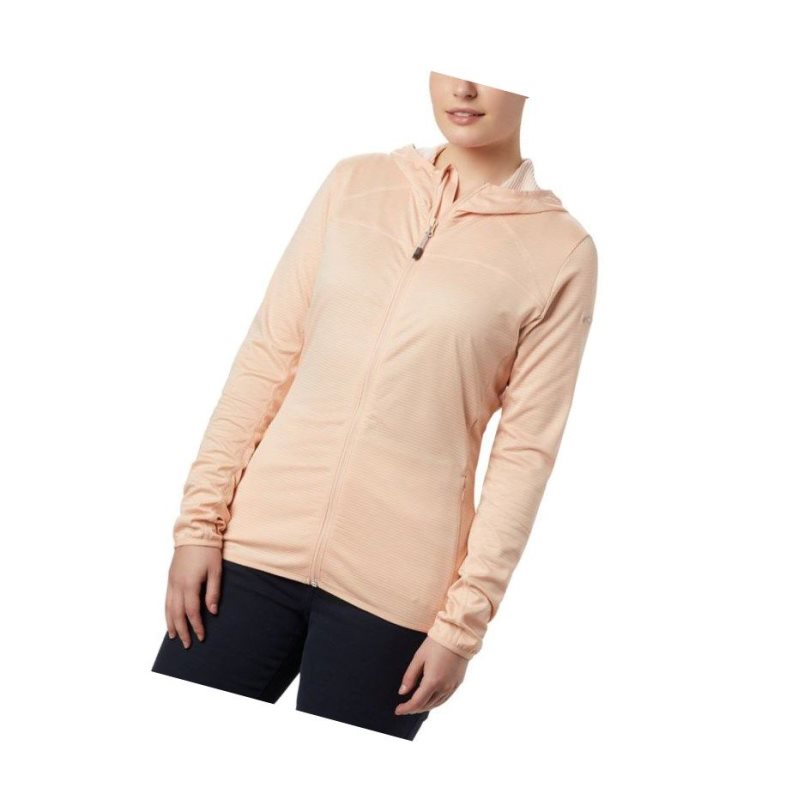 Columbia Baker Valley Hooded Fleece Mont Kadın Pembe | 97245-MJXE