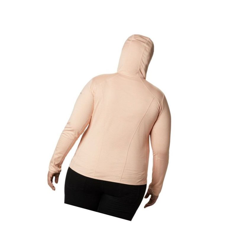 Columbia Baker Valley Hooded Fleece Mont Kadın Pembe | 96178-MTAS