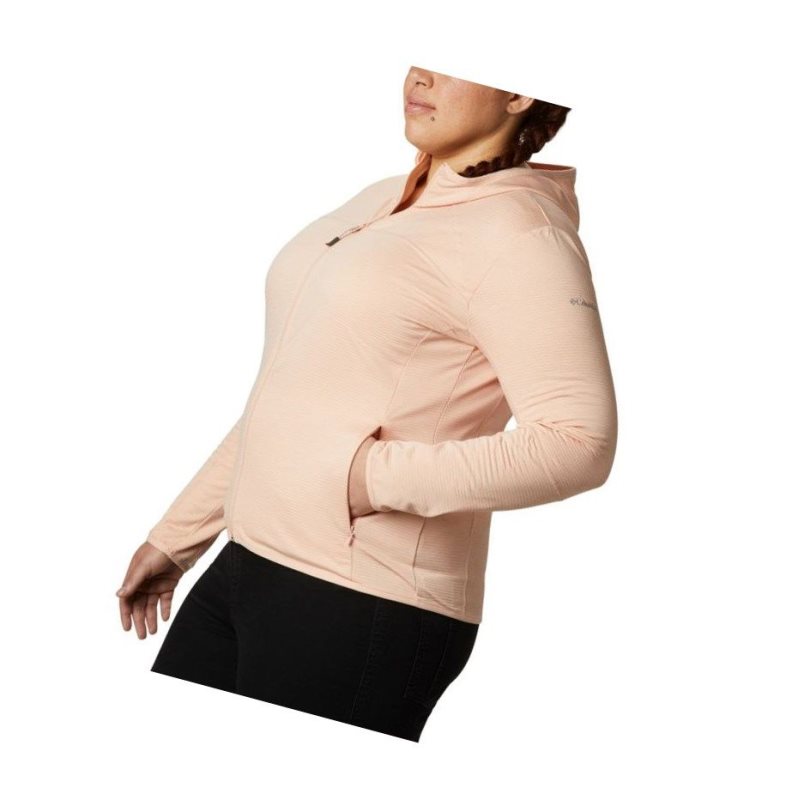 Columbia Baker Valley Hooded Fleece Mont Kadın Pembe | 96178-MTAS