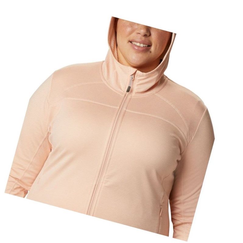 Columbia Baker Valley Hooded Fleece Mont Kadın Pembe | 96178-MTAS