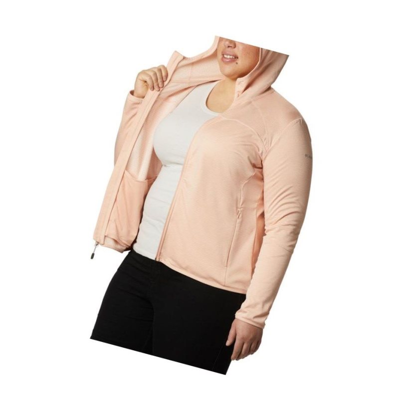Columbia Baker Valley Hooded Fleece Mont Kadın Pembe | 96178-MTAS