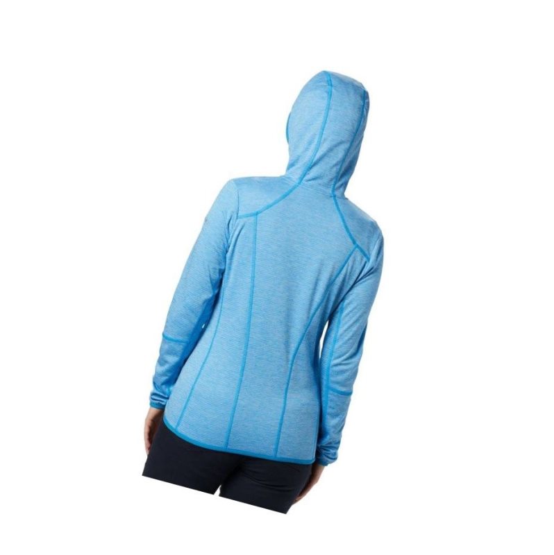 Columbia Baker Valley Hooded Fleece Mont Kadın Mavi | 24073-TUKN