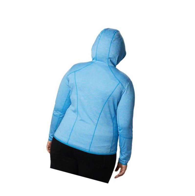 Columbia Baker Valley Hooded Fleece Mont Kadın Mavi | 90324-HREY