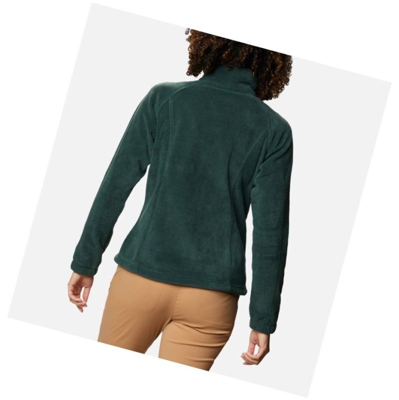 Columbia Benton Springs Full Zip Fleece Mont Kadın Yeşil | 91423-UADO