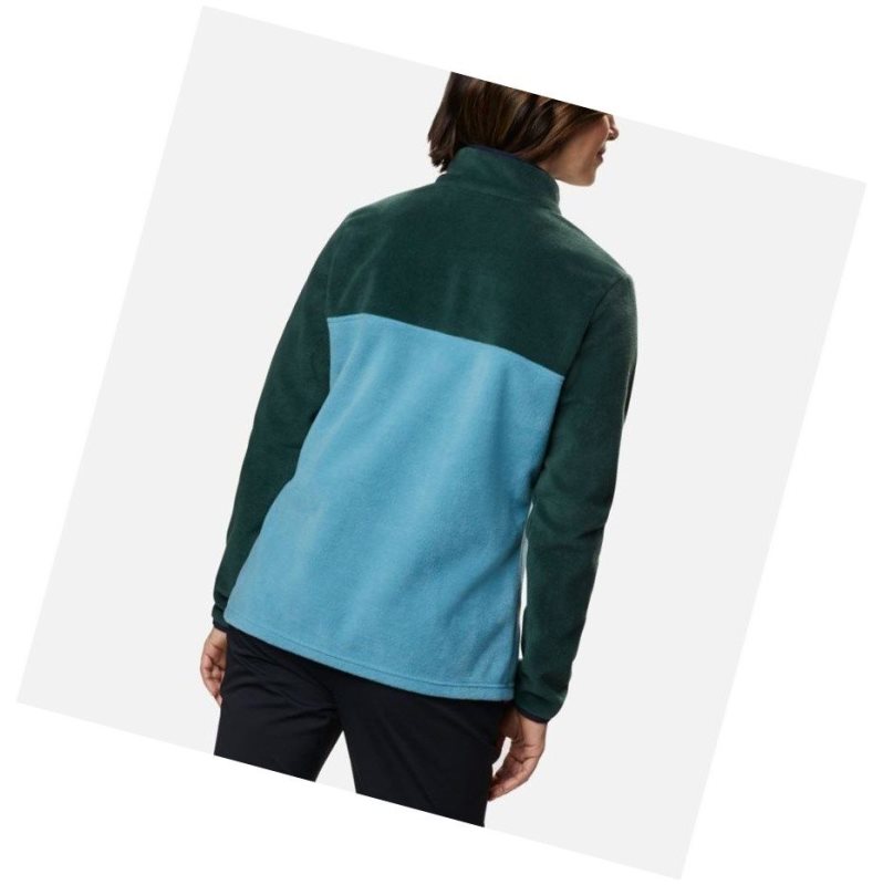 Columbia Benton Springs Half Snap Sweatshirt Kadın Mavi | 32546-YHZE