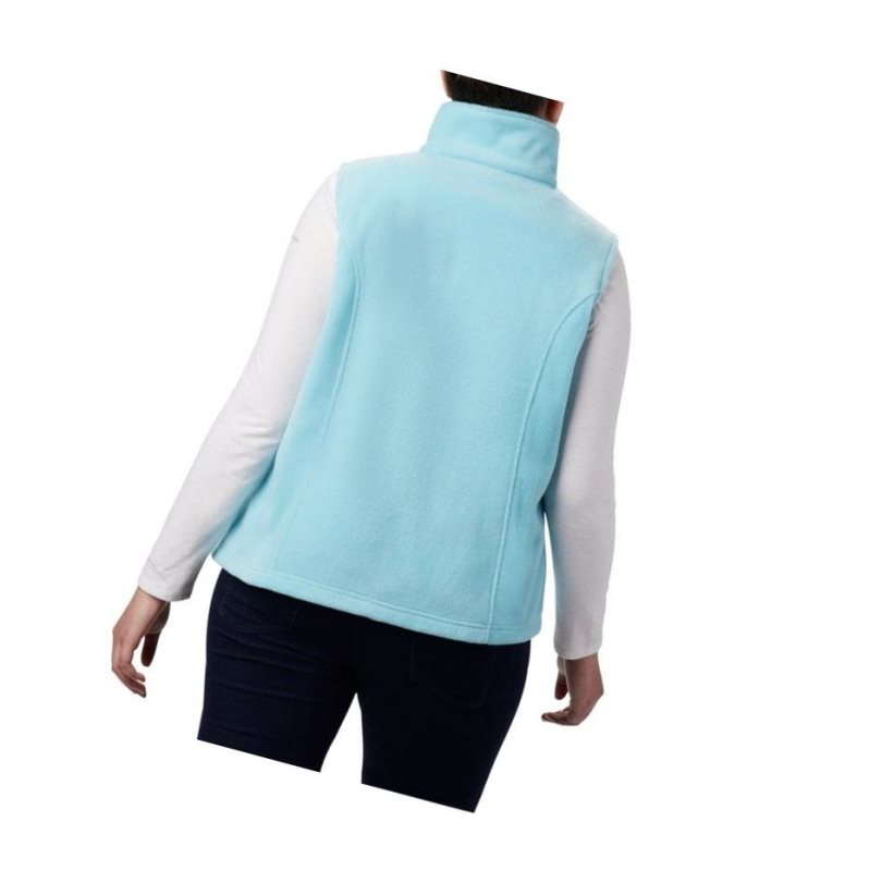 Columbia Benton Springs Plus Size Yelek Kadın Renkli | 81064-XVDL