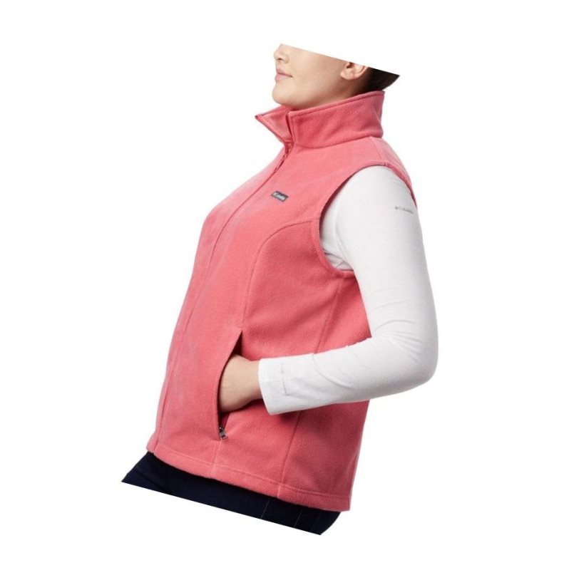 Columbia Benton Springs Plus Size Yelek Kadın Renkli | 67205-BLIC