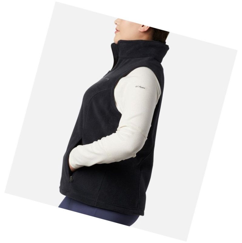 Columbia Benton Springs Plus Size Yelek Kadın Renkli | 54182-EUCR