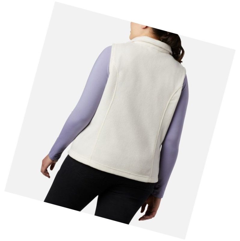 Columbia Benton Springs Plus Size Yelek Kadın Renkli | 94587-NKMT