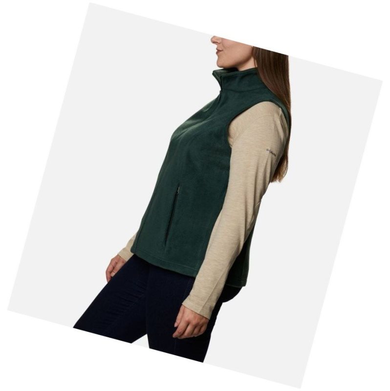 Columbia Benton Springs Plus Size Yelek Kadın Renkli | 87492-BXRK