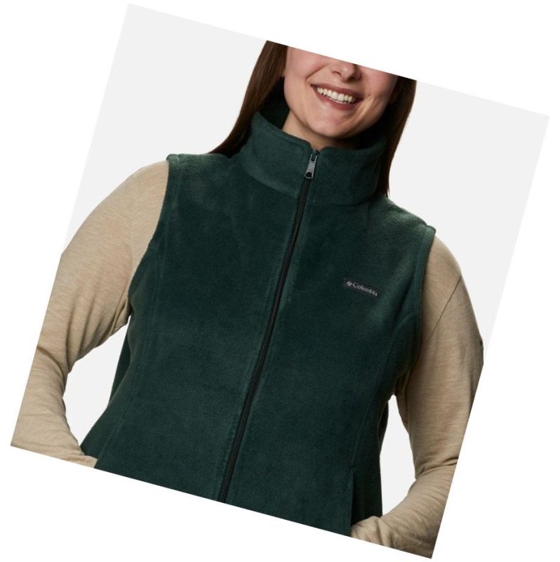 Columbia Benton Springs Plus Size Yelek Kadın Renkli | 87492-BXRK