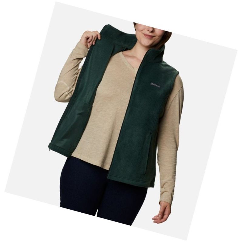Columbia Benton Springs Plus Size Yelek Kadın Renkli | 87492-BXRK