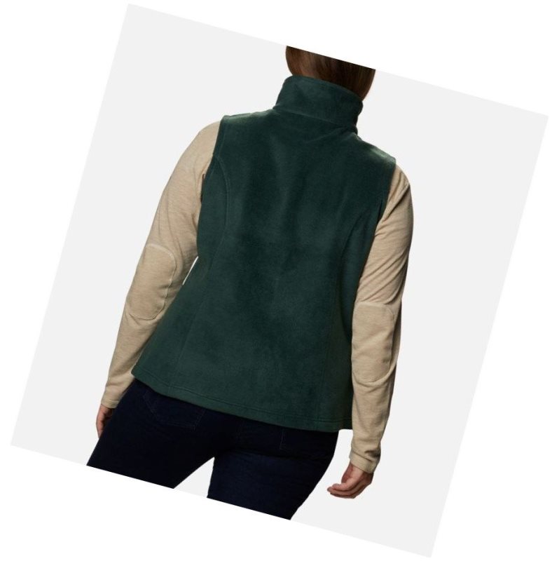 Columbia Benton Springs Yelek Kadın Renkli | 79301-OLAI