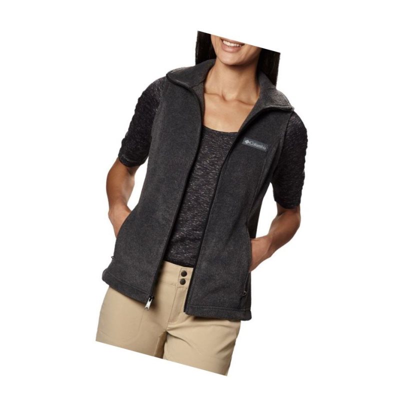 Columbia Benton Springs Yelek Kadın Renkli | 69435-NGTJ