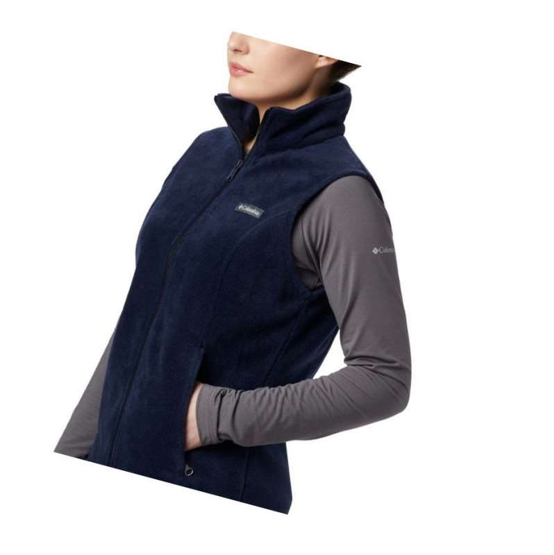 Columbia Benton Springs Yelek Kadın Renkli | 61927-BRZJ