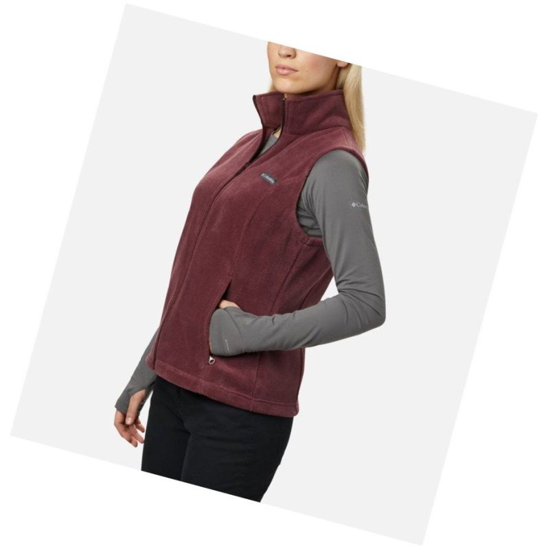 Columbia Benton Springs Yelek Kadın Renkli | 40172-SUTP