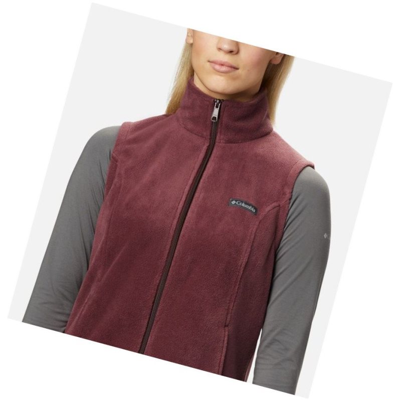 Columbia Benton Springs Yelek Kadın Renkli | 40172-SUTP