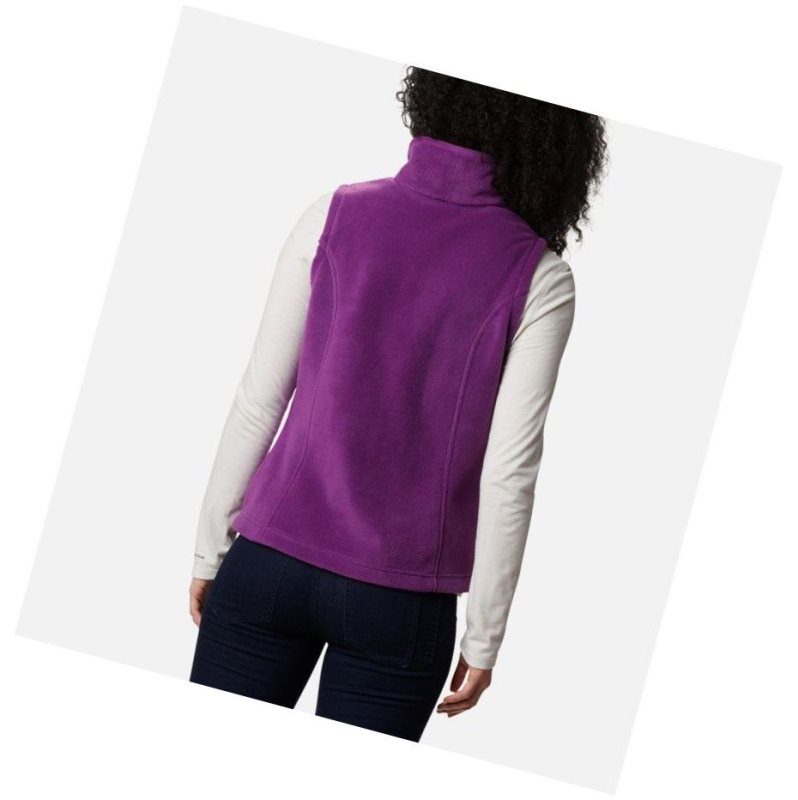 Columbia Benton Springs Yelek Kadın Renkli | 39865-DKJT
