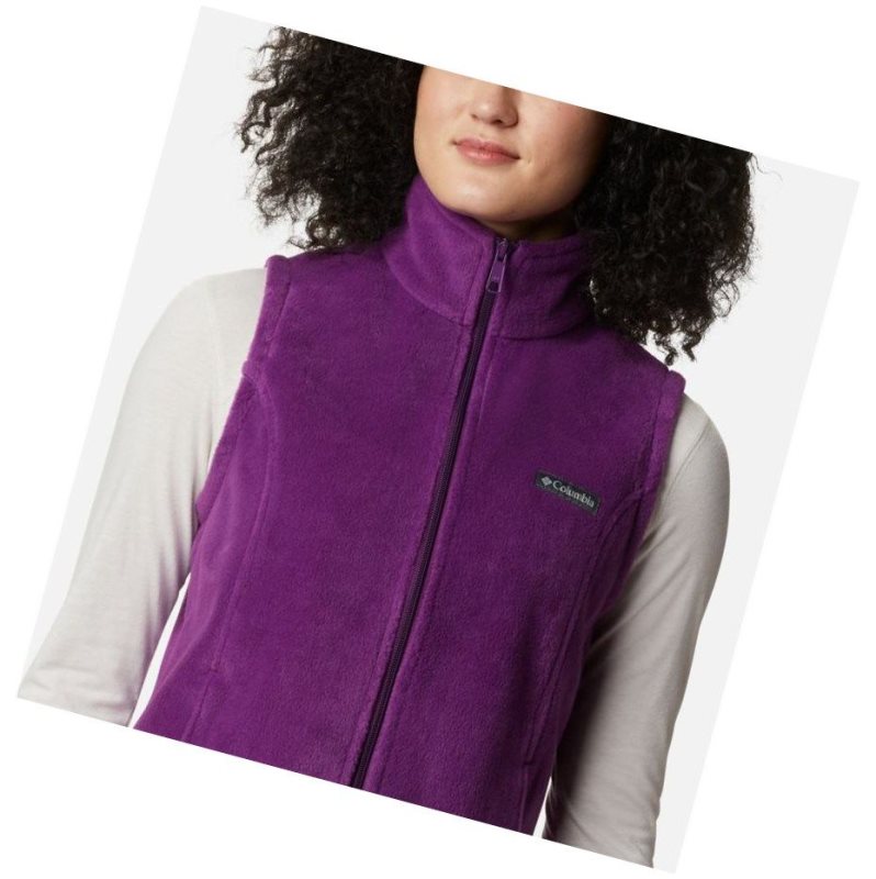 Columbia Benton Springs Yelek Kadın Renkli | 39865-DKJT