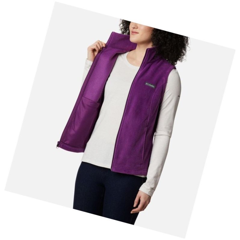 Columbia Benton Springs Yelek Kadın Renkli | 39865-DKJT