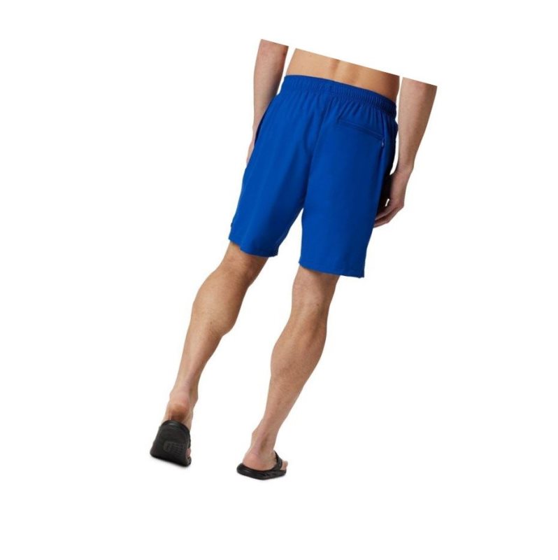 Columbia Blue Magic Water Şort Erkek Renkli | 14295-HIDN