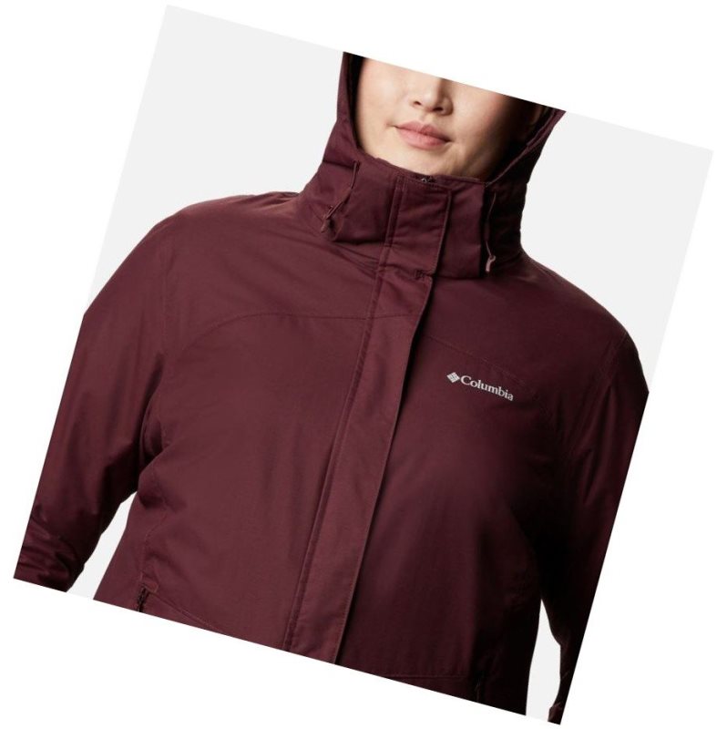 Columbia Bugaboo II Fleece Interchange Plus Size Mont Kadın Bordo | 59130-BHEP
