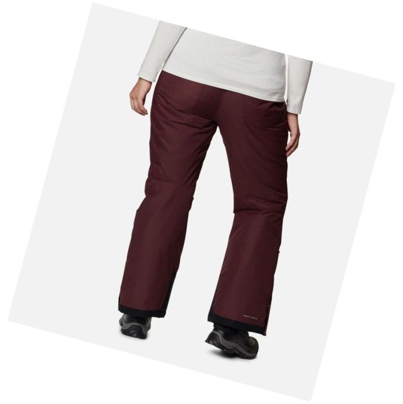 Columbia Bugaboo Omni-Heat Plus Size Pantolon Kadın Bordo | 52109-RFBG