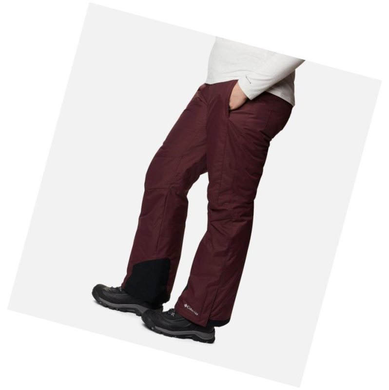 Columbia Bugaboo Omni-Heat Plus Size Pantolon Kadın Bordo | 52109-RFBG