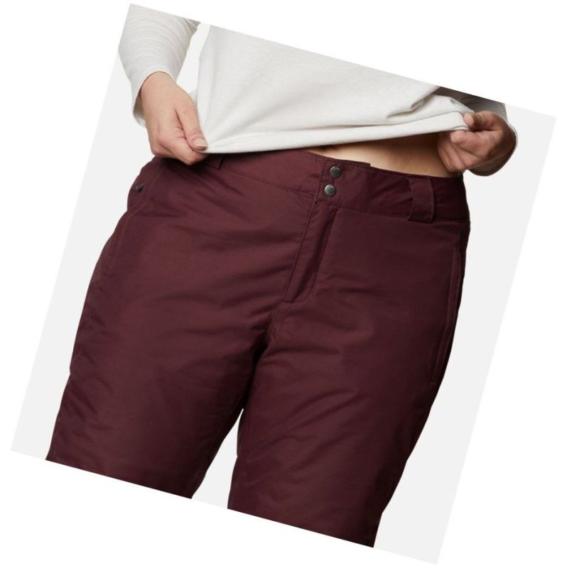 Columbia Bugaboo Omni-Heat Plus Size Pantolon Kadın Bordo | 52109-RFBG