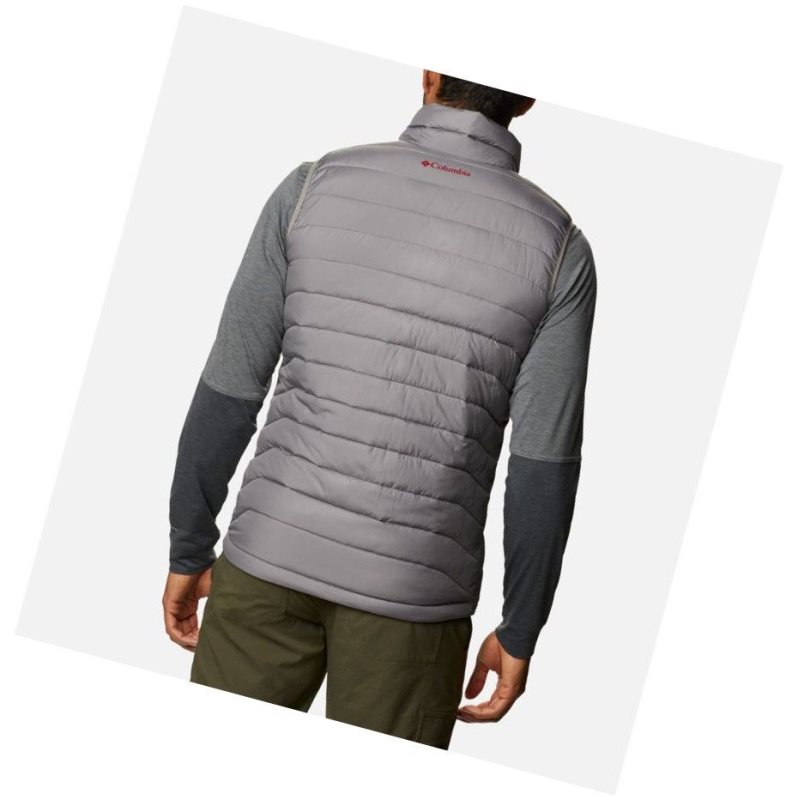 Columbia Collegiate Powder Lite - Washington State Yelek Erkek Gri | 61703-XPZU