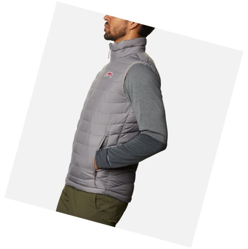 Columbia Collegiate Powder Lite - Washington State Yelek Erkek Gri | 61703-XPZU