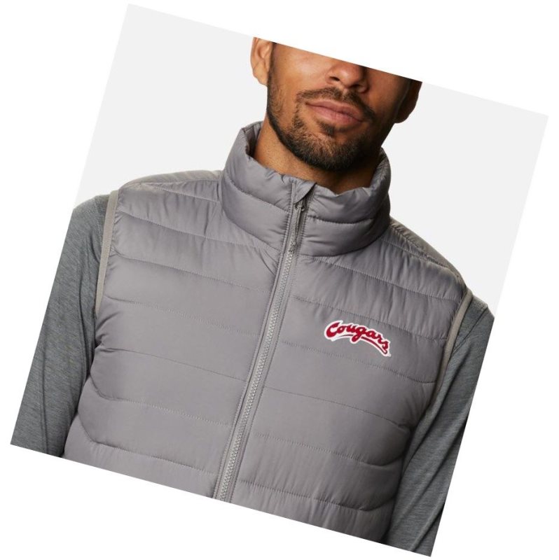 Columbia Collegiate Powder Lite - Washington State Yelek Erkek Gri | 61703-XPZU